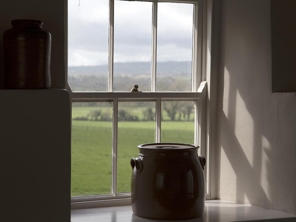 Kilgraney House Pensionat Bagenalstown Eksteriør billede